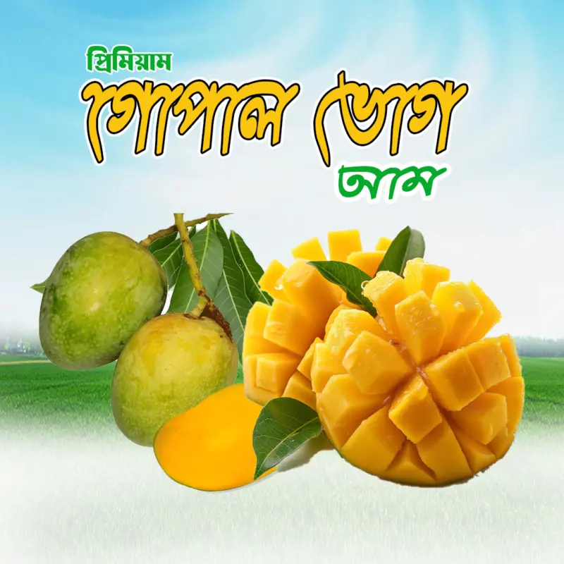 ১০ কেজি  গোপালভোগ আম