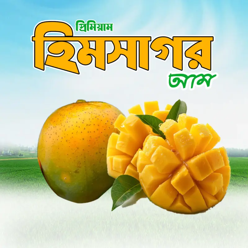 ১০ কেজি  হিমসাগর আম