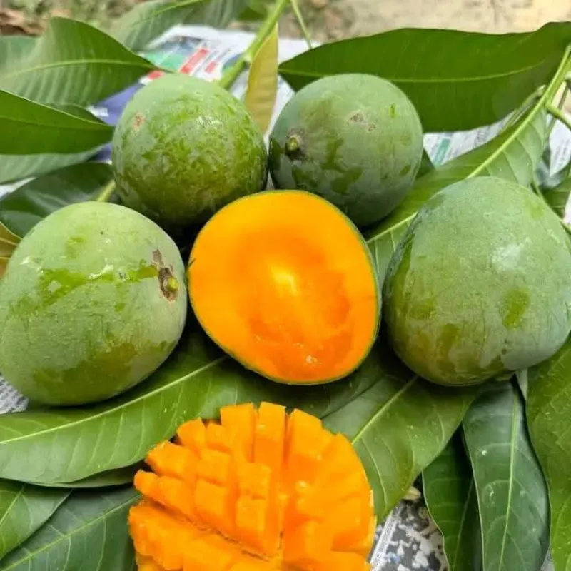 20 কেজি গোবিন্দ ভোগ আম
